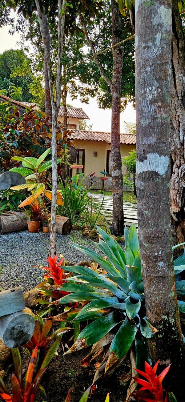 4 Elementos Guest House Porto Seguro Buitenkant foto